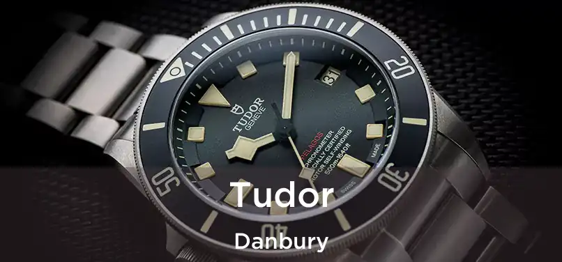 Tudor Danbury